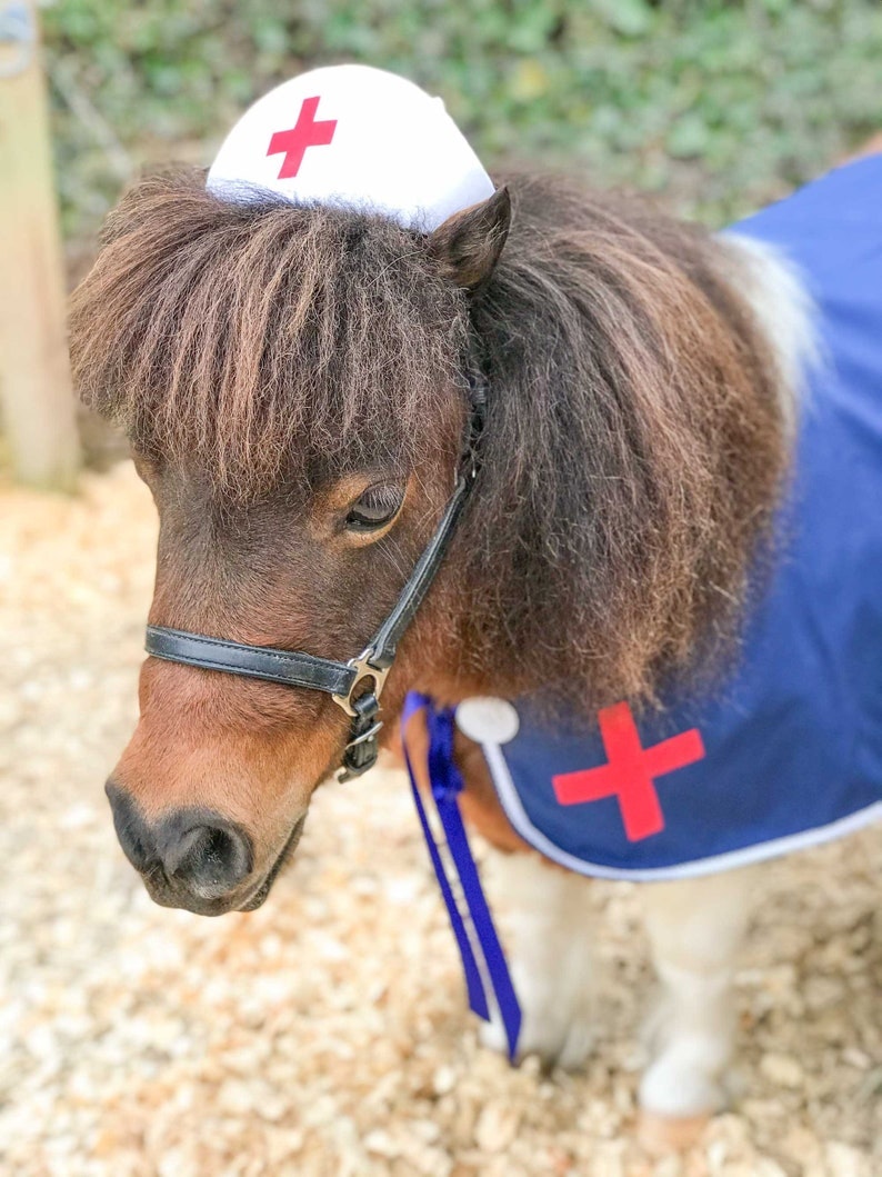 Hest i sygeplejerske-kostume