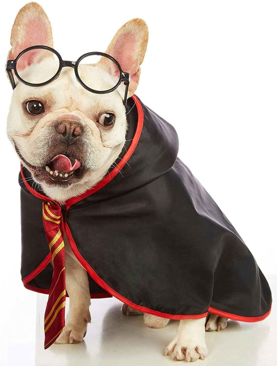 Hund i Harry Potter-kostume