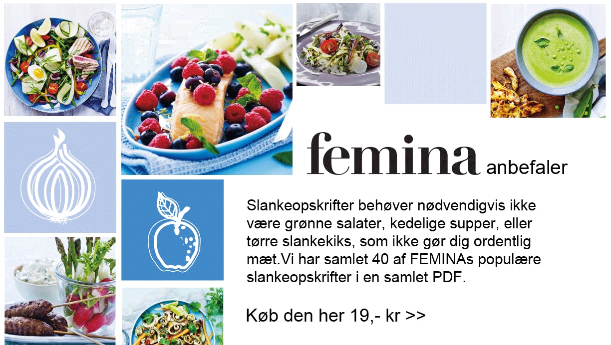 https://dk-femina-backend.imgix.net/banner_slankeopskrifter_pdf_10.png