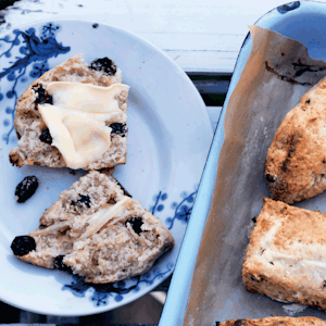 https://dk-femina-backend.imgix.net/media/article/1446-grove-scones.png?ixlib=vue-2.9.0&auto=format&width=300&height=300&fit=crop&fp-x=0.5&fp-y=0.5