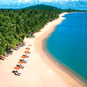 https://dk-femina-backend.imgix.net/media/article/1512-rejsetilbud-thailand.png?ixlib=vue-2.9.1&auto=format&width=300&height=300&fit=crop&fp-x=0.5&fp-y=0.5