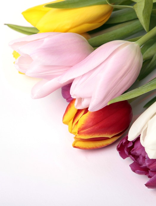blomster