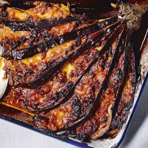 lasagne