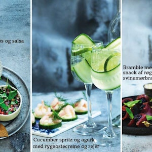 https://dk-femina-backend.imgix.net/media/article/1725-drinks-og-snacks.jpg?ixlib=vue-2.9.1&auto=format&width=300&height=300&fit=crop&fp-x=0.5&fp-y=0.5