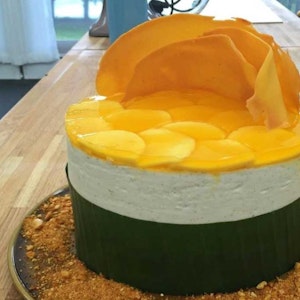 https://dk-femina-backend.imgix.net/media/article/1745-mango-kokoskage-bagedyst.jpg?ixlib=vue-2.9.1&auto=format&width=300&height=300&fit=crop&fp-x=0.5&fp-y=0.5