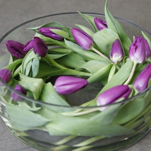 tulipaner på en sjov måde.