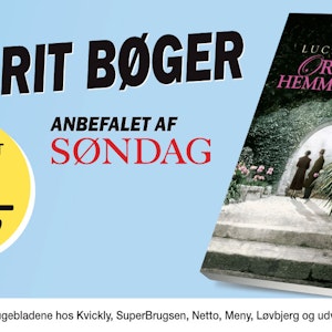 https://dk-femina-backend.imgix.net/media/article/favorit_bog_sd.jpg?ixlib=vue-2.9.1&auto=format&width=300&height=300&fit=crop&fp-x=0.5&fp-y=0.5