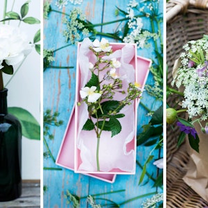 Blomster fra grøftekanten