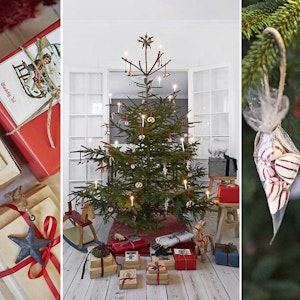 https://dk-femina-backend.imgix.net/media/article/juletraeer-prim.jpg?ixlib=vue-2.9.1&auto=format&width=300&height=300&fit=crop&fp-x=0.5&fp-y=0.5