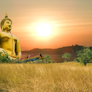 https://dk-femina-backend.imgix.net/media/article/panthermedia_a34824633_5184x3456buddha.jpg?ixlib=vue-2.9.1&auto=format&width=300&height=300&fit=crop&fp-x=0.5&fp-y=0.5