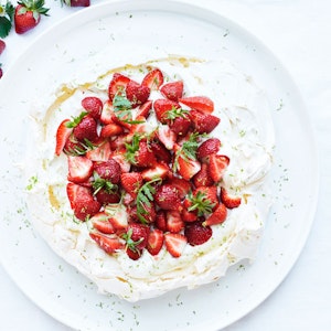 pavlova