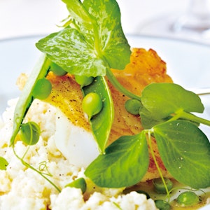 https://dk-femina-backend.imgix.net/media/sondag/2012/08/31/madsag-badehotel/mad3.jpg?ixlib=vue-2.9.1&auto=format&width=300&height=300&fit=crop&fp-x=0.5&fp-y=0.5
