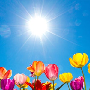 https://dk-femina-backend.imgix.net/media/sondag/2013/07/31/artikler/dvitamin-612x325.jpg?ixlib=vue-2.9.1&auto=format&width=300&height=300&fit=crop&fp-x=0.5&fp-y=0.5