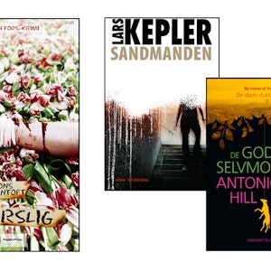 https://dk-femina-backend.imgix.net/media/websites/femina-dot-dk/website/kultur-og-rejser/boger-film-musik/2013/03/1311-4-krimier-paa-vej/1311-4-krimier-der-kommer-stort.jpg?ixlib=vue-2.9.1&auto=format&width=300&height=300&fit=crop&fp-x=0.5&fp-y=0.5