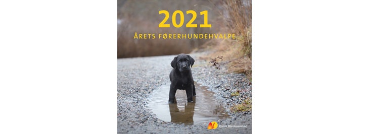 Hvalpekalender 2021 - Dansk Blindesamfund